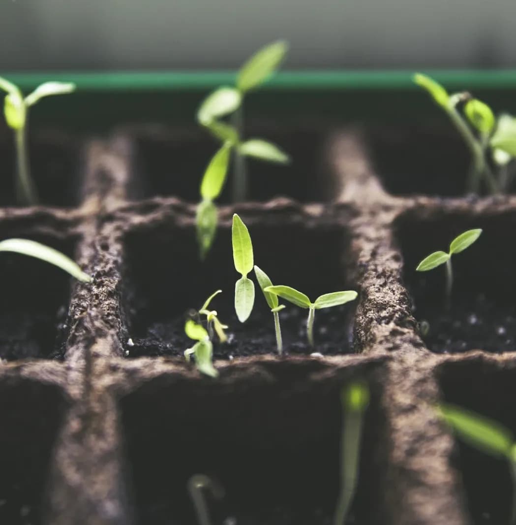 Nos processus de production en image.