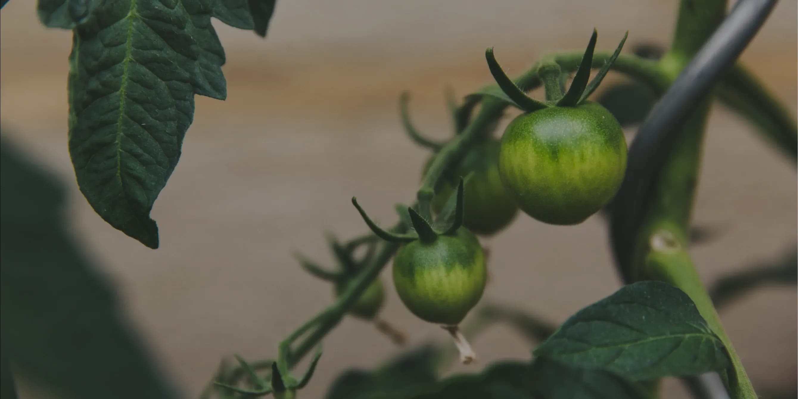 Photo de couverture du site web Agri Symbiose