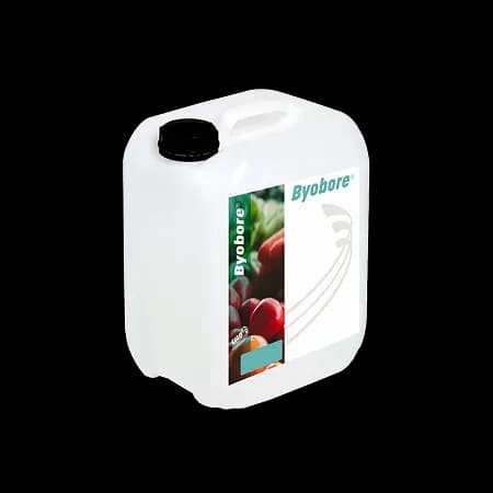 image du produit : BYOBORE